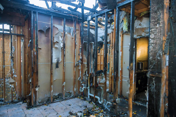 Professional Soot Cleanup technician working in Thonotosassa, FL