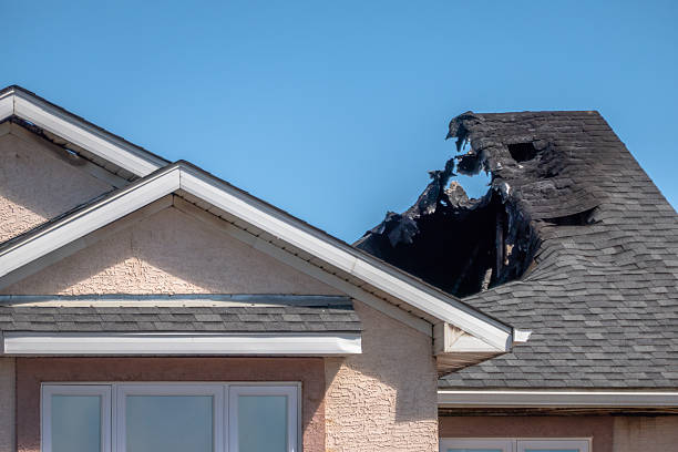 Top rated local Soot Cleanup specialists in Thonotosassa, FL